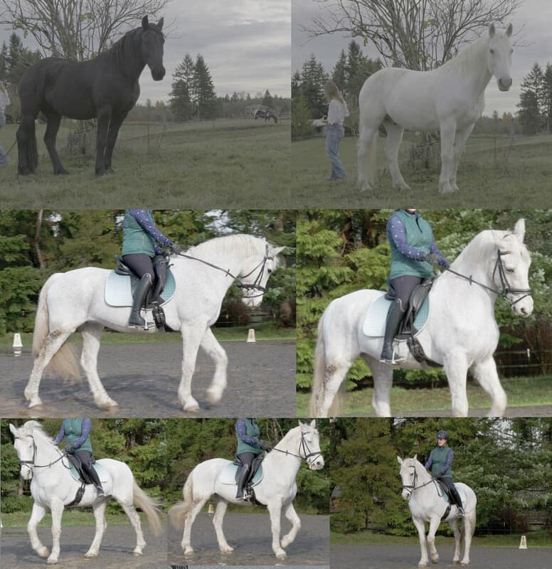 The First Horseman, stage 4
